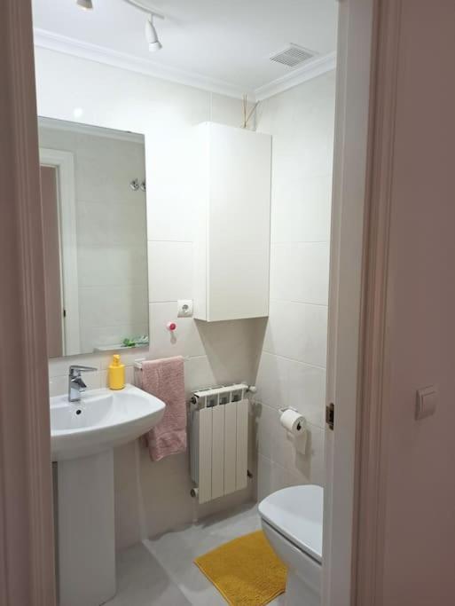 Bajo Con Jardin Privado Apartment Santander Exterior foto
