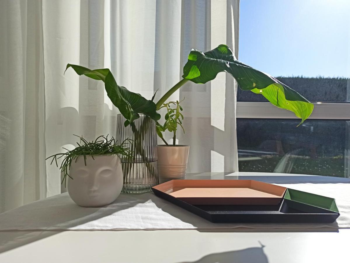 Bajo Con Jardin Privado Apartment Santander Exterior foto