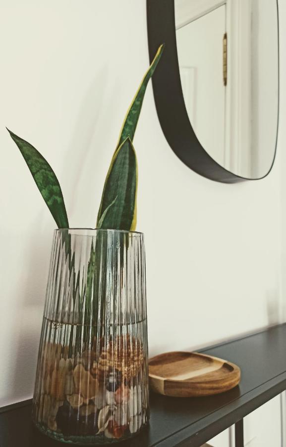 Bajo Con Jardin Privado Apartment Santander Exterior foto