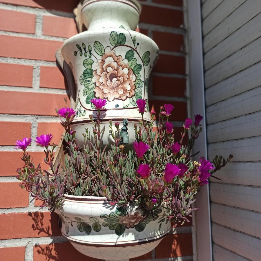 Bajo Con Jardin Privado Apartment Santander Exterior foto